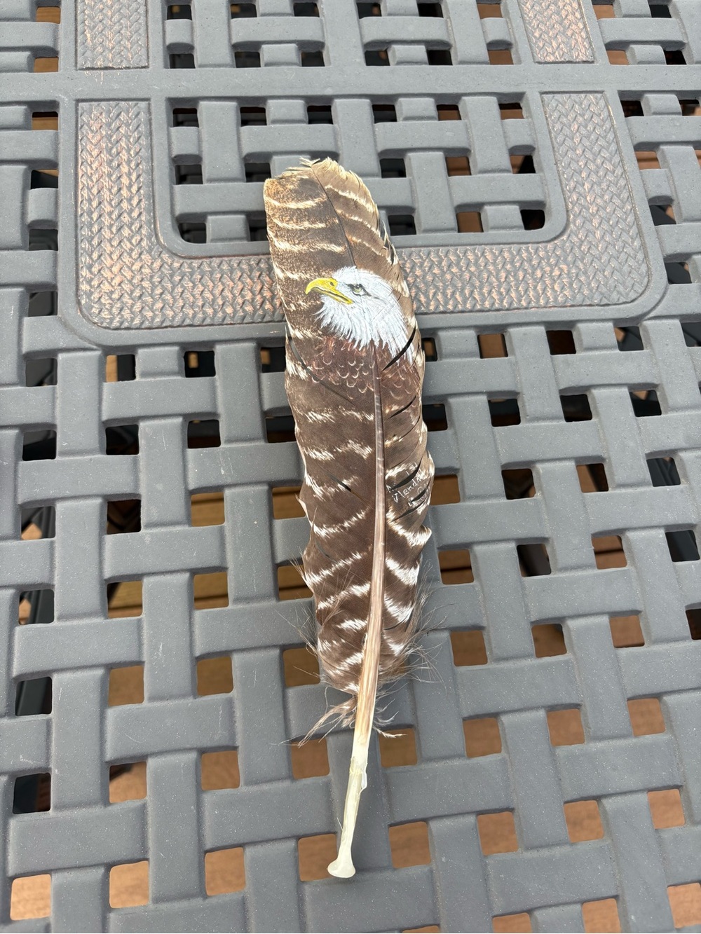 Hand-Painted Eagle on Feather